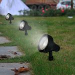 DEXTER JABALINA - Image 2